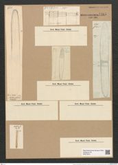 Ardissonia robusta (Ralfs) De Not (de-Toni-Nr.: Genus 68, Species 2678) Zeichnungen Sammlung Grunow Nr. 5485 (NHMW-BOT-W0373915)